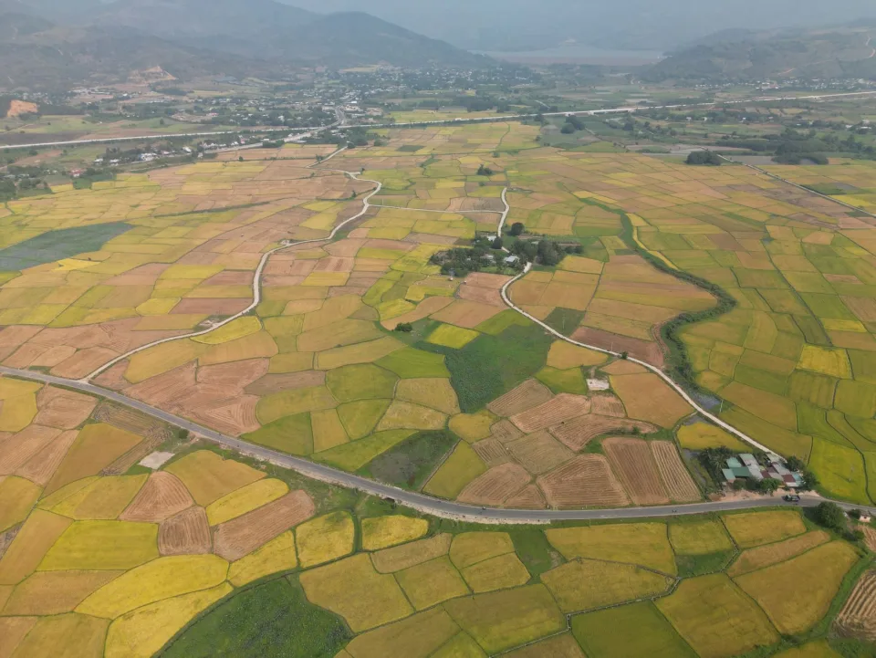 Kho gạo xếp bao