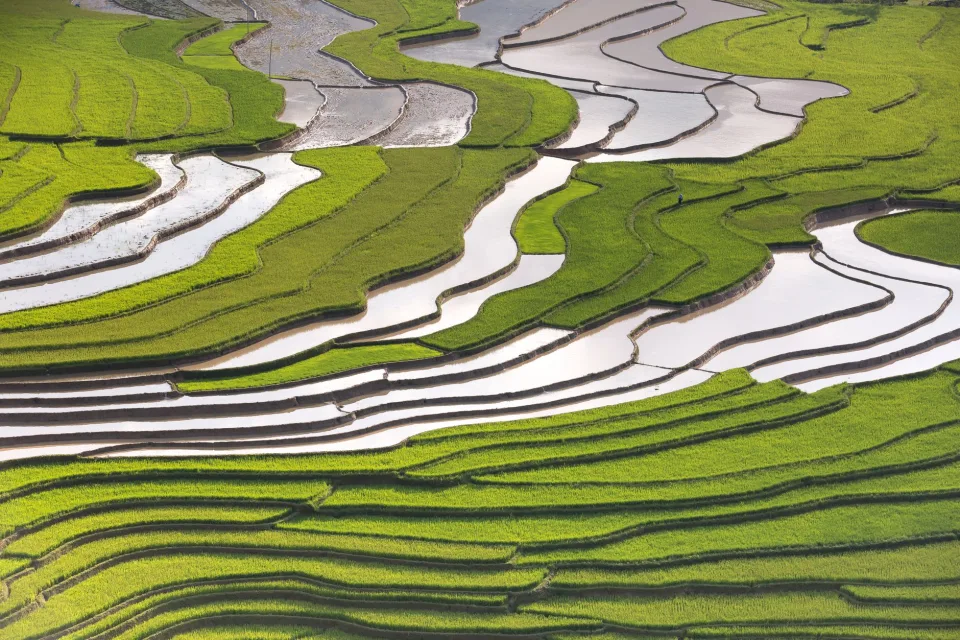 Cân và đóng bao
