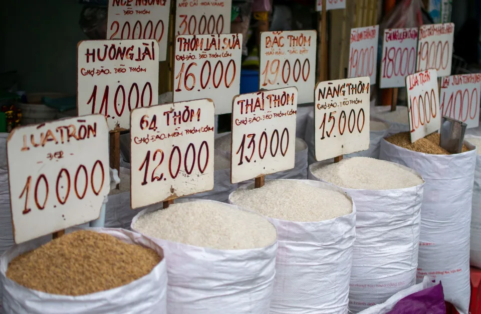 Xe giao gạo